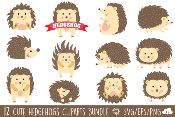 Cute Hedgehog Vector Clipart Bundle