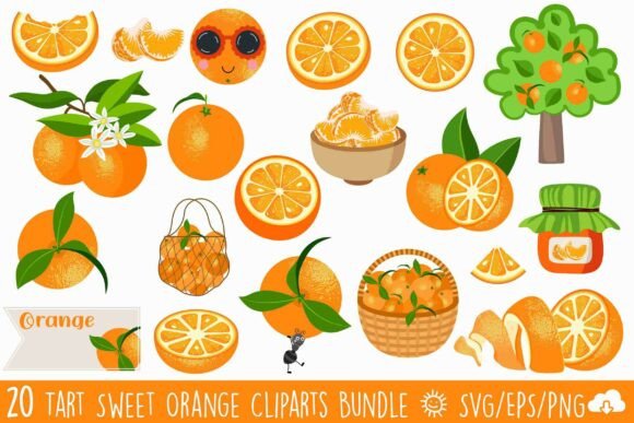 Enhance Your Designs with the Tart Sweet Orange Vector ClipArt Bundle
